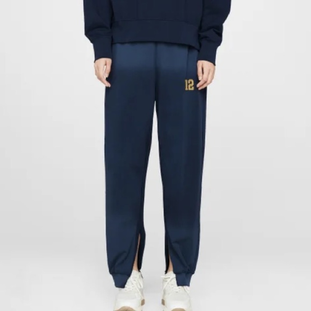 ANINE BING Tyler Jogger in Washed Navy